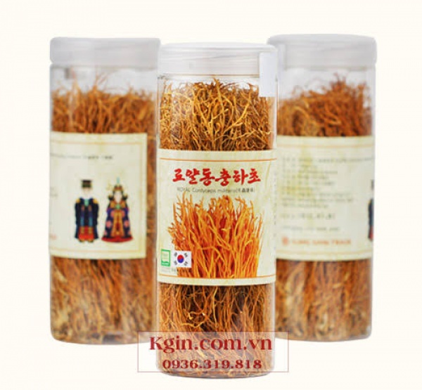 Đông Trùng Hạ Thảo Sấy Khô 100g Daedong Hàn Quốc Chính Hãng
